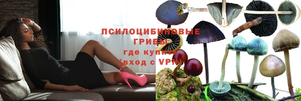 PSILOCYBIN Коряжма