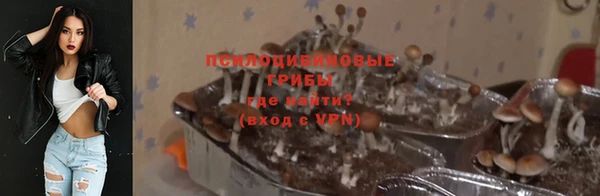 mdpv Костерёво