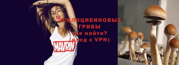mdpv Костерёво