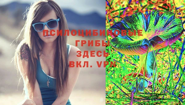 mdpv Костерёво